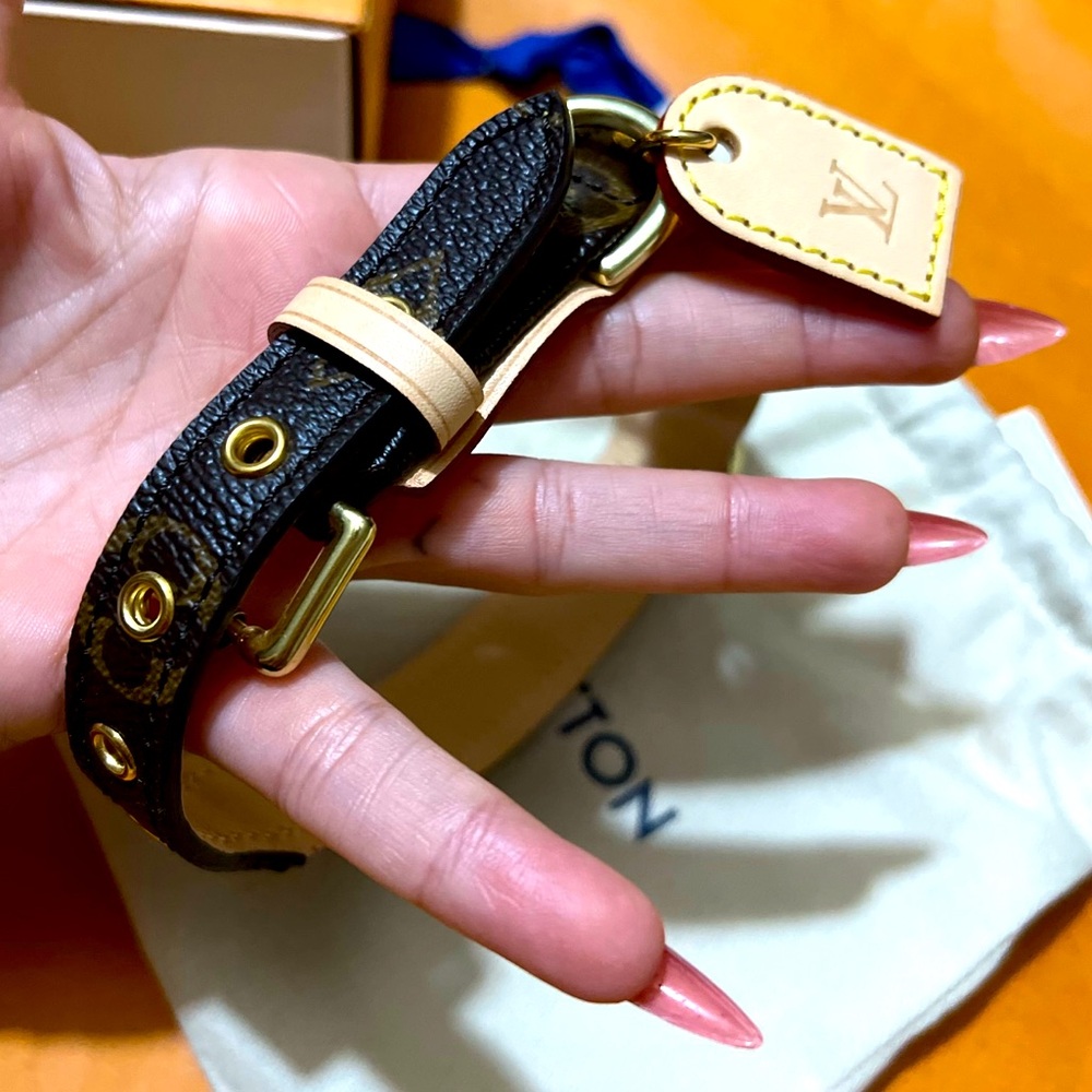 Authentic Louis Vuttion Baxter Collar